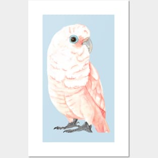 Goffin's cockatoo watercolor Posters and Art